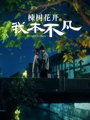 楝树花开之我本不凡