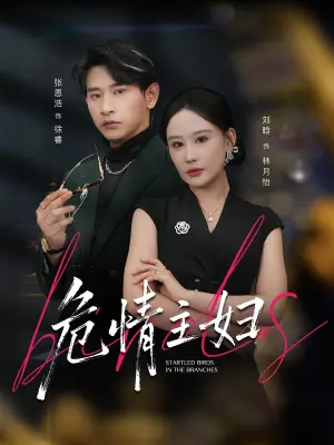 危情主妇
